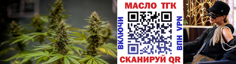 купить закладку Дубна ТГК гашишное масло