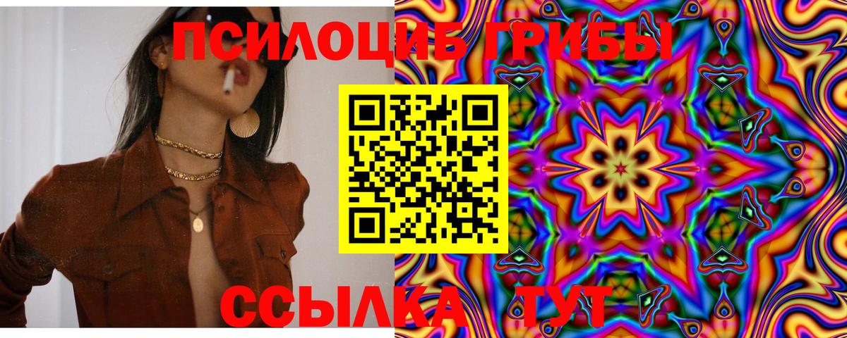 купить закладку  Псилоцибиновые грибы Psilocybine cubensis  Дубна  Галлюциногенные грибы ЛСД 