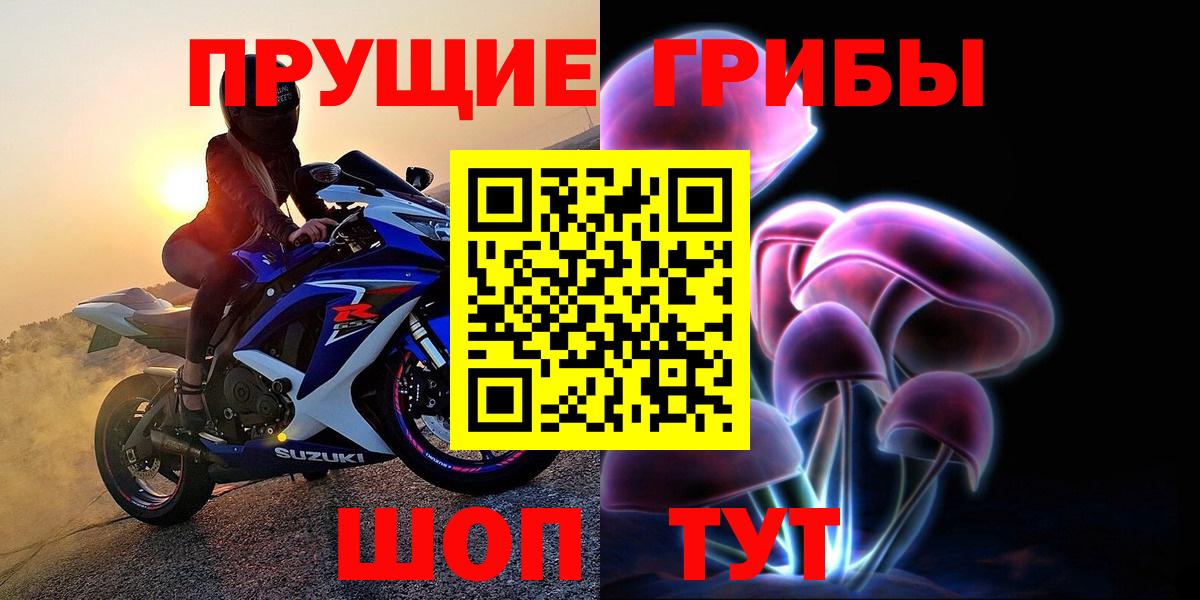 Галлюциногенные грибы Psilocybe Дубна